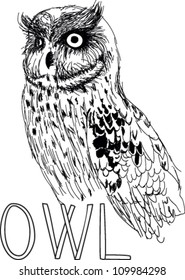 Hand drawn vector owl on isolated background