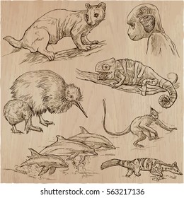 An hand drawn vector pack - Animals around the World. Collection of an line art illustrations.