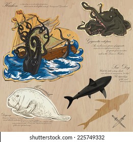 An hand drawn vector pack. Topic: PIRATES - Sea Monsters. Description: Vector is editable in several layers and group of objects.