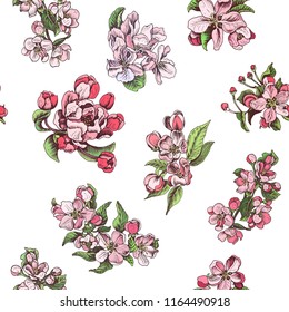Hand drawn vector pattern with apple blossom.
