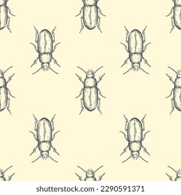 Hand drawn vector pattern with insects . Vector collection. Detailed realistic sketches. Ink, pen, linework.