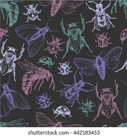 Hand drawn vector pattern with insects in different poses. Moth, butterfly, bee, bumblebee, ladybug. Vector collection. Detailed realistic sketches. Ink, pen, linework.