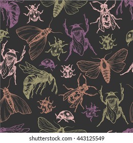 Hand drawn vector pattern with insects in different poses. Moth, butterfly, bee, bumblebee, ladybug. Vector collection. Detailed realistic sketches. Ink, pen, linework.