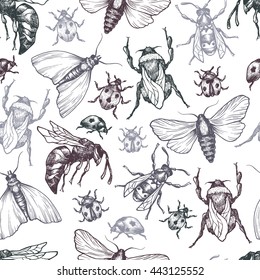 Hand drawn vector pattern with insects in different poses. Moth, butterfly, bee, bumblebee, ladybug. Vector collection. Detailed realistic sketches. Ink, pen, linework.