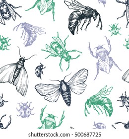 Hand drawn vector pattern with insects in different poses. Moth, butterfly, bee, bumblebee, ladybug. Vector collection. Detailed realistic sketches. Ink, pen, linework.