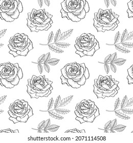 Hand drawn vector pattern with roses and leaves. Black countour lineart.