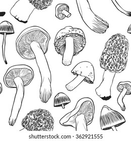 Hand drawn vector pattern. Seamless pattern with mushrooms. Creative black contour art work. Hand drawn illustration mushrooms. Nature seamless pattern