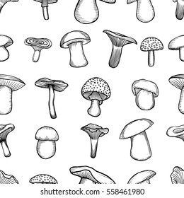 Hand drawn vector pattern. Seamless pattern with mushrooms. Creative black contour art work. Hand drawn illustration mushrooms. Nature seamless pattern