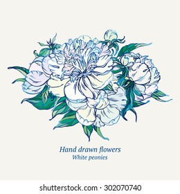 Hand drawn vector peonies
