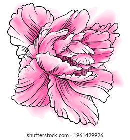 Hand drawn vector of peony flower. Stock illustration of digital drawing plant in sketch style.