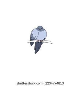 Hand drawn vector pigeon isolated on white background.