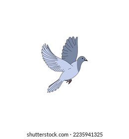 Hand drawn vector pigeon isolated on white background.