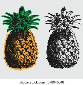 Hand drawn vector pineapple.
