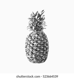 Hand drawn vector pineapple illustration, isolated monochromatic black tropical fruit. 