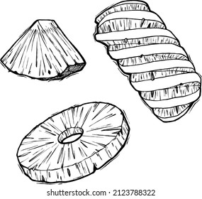 Hand drawn vector pineapple lineart.