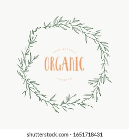 Hand drawn vector plant illustration. Botanical element. Elegante vintage style. Wild flowers and herbs sketch.	