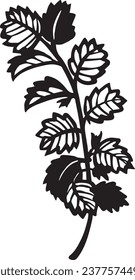 Hand drawn vector plant illustration