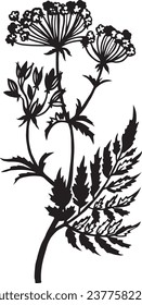 Hand drawn vector plant illustration