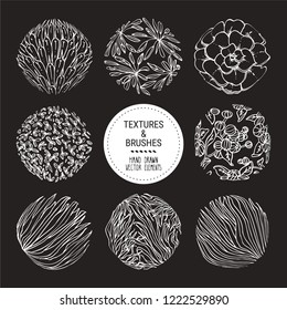 Hand drawn vector plants, flower round textures, tropical forest ornaments. Botanical design elements for organic branding, invitation, greeting card, floral label, sticker. Plants patterns set.