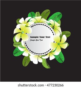 Hand drawn vector plumeria flower for background and text.