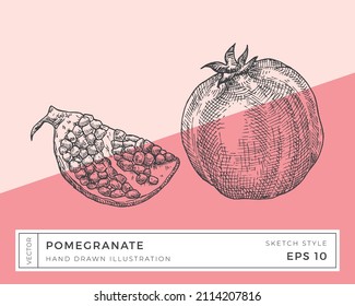 Hand Drawn Vector Pomegranate Illustration. Vegan Plant Based Food Drawing with Colorful Background. Isolated