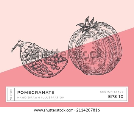 Hand Drawn Vector Pomegranate Illustration. Vegan Plant Based Food Drawing with Colorful Background. Isolated