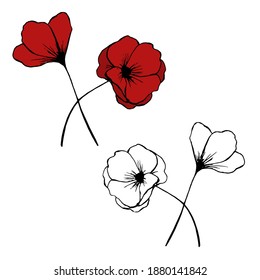 Hand drawn vector poppies doodle
