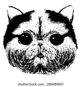 Hand Drawn Vector Portrait cat or kitten, British Shorthair, poster, t-shirt design, hand drawn home pet, animal illustration, black silhouette isolated on white, portrait, grunge, front face. 