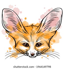 Hand drawn vector portrait of fennec fox with watercolor spots  isolated on white background. Stock illustration of desert animal in sketch style.