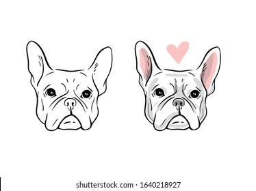 Hand Drawn Vector Portrait of French Bulldog