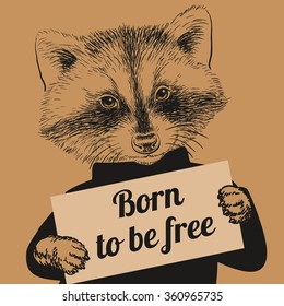 Hand Drawn Vector Portrait of Racoon holding a sign Born to be free