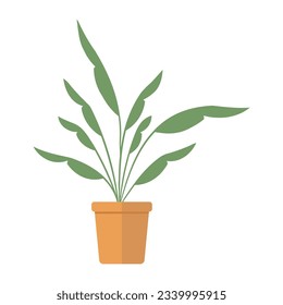 Hand drawn vector potted plant. - Vector.
