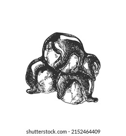 Hand drawn vector profiteroles illustration set. Fresh french pastry design template sketch. Tender dessert with cream and chocolate