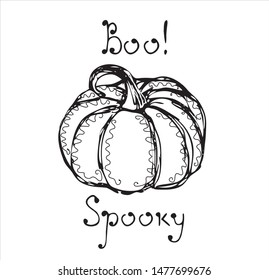 Hand drawn vector pumpkin with hand drawn text Boo Spooky, autumn halloween background