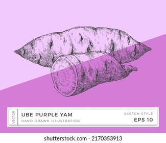 Hand Drawn Vector Purple Yam Ube Vegetable Root Illustration. Vegan Based Food Drawing with Colorful Background. Isolated