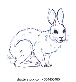 Hand drawn vector rabbit