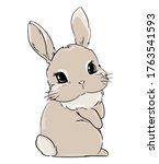 Hand Drawn Vector Rabbit, Cute Bunny, Rabbit cute illustration. Print for children