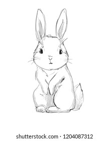 Hand Drawn Vector Rabbit, Cute Bunny