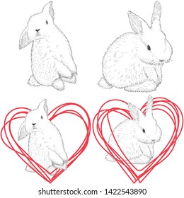 Hand drawn vector. Rabbit, cute bunny, rabbit cute illustration in the shape of heart. Print for children's t-shirts. Pattern for background and for design.
