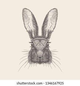 Hand drawn vector of rabbit Illustration