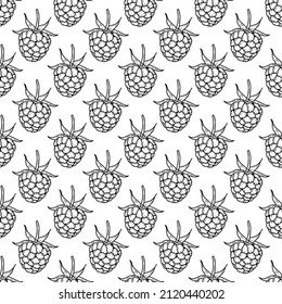 Hand drawn vector raspberry. Doodle raspberry pattern. Sweet food. Vector illustration. Seamless pattern.