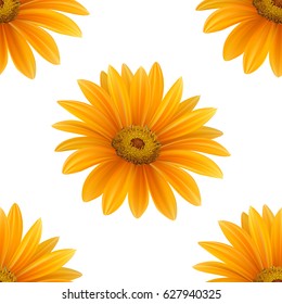 Hand drawn vector realistic seamless pattern of Gerbera Daisy flower on white background.