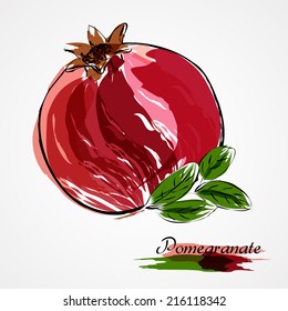 Hand drawn vector red pomegranate whole, on light background