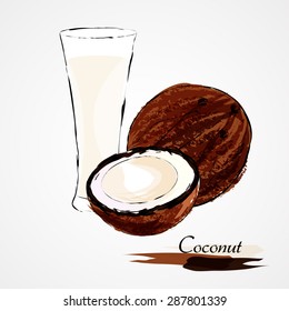 Hand drawn vector ripe coconut fruit and milk on light background