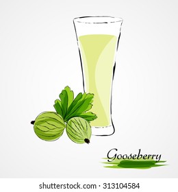 Hand drawn vector ripe green gooseberry fruits and juice in glass on the light background