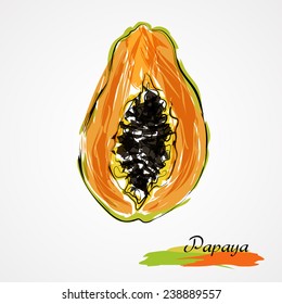  Hand drawn vector ripe half of, slice papaya fruit on light background