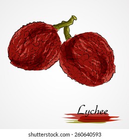 Hand drawn vector ripe lychee fruits on the light background