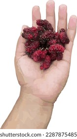 vector dibujado a mano de frutos maduros maduros sobre fondo blanco