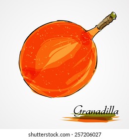 Hand drawn vector ripe orange granadilla slice on the light background