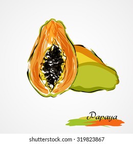 Hand drawn vector ripe papaya fruit on light background